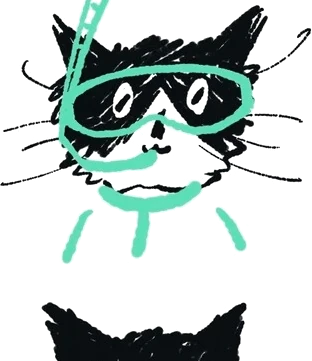 戴潜水镜的猫